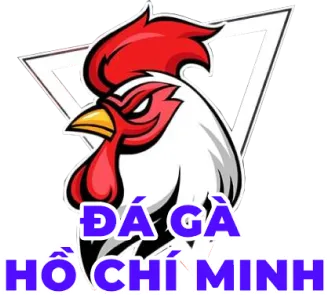 Đá gà Hồ Chí Minh