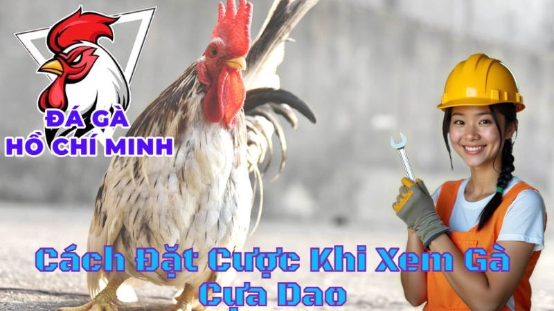 Cách Đặt Cược Khi Xem Gà Cựa Dao Tại Hồ Chí Minh