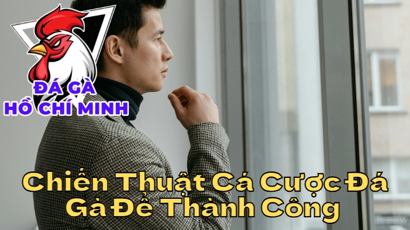 Chiến Thuật Cá Cược Đá Gà Để Thành Công Tại Thành Phố