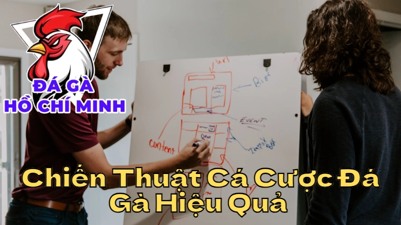 Chiến Thuật Cá Cược Đá Gà Hiệu Quả Cho Người Mới 2024