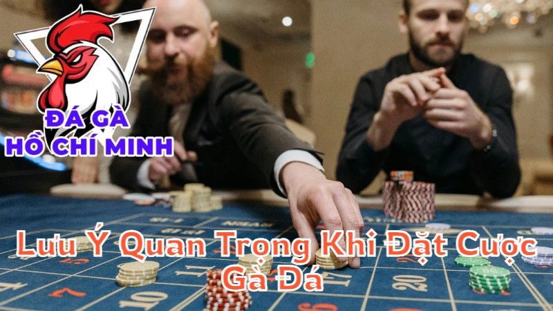 Lưu Ý Quan Trọng Khi Đặt Cược Gà Đá Tại Hồ Chí Minh