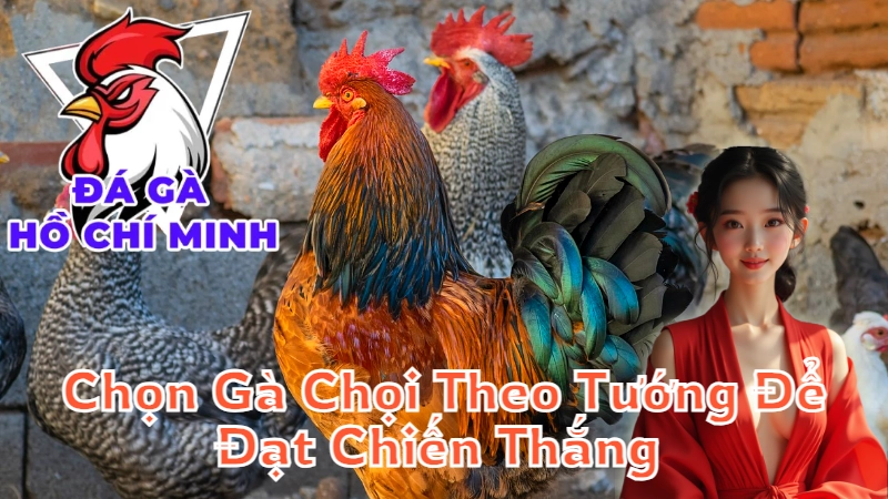 Mẹo Chọn Gà Chọi Theo Tướng Để Đạt Chiến Thắng 2024