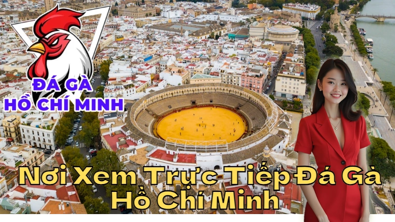 Những Nơi Xem Trực Tiếp Đá Gà Hồ Chí Minh Uy Tín Nhất