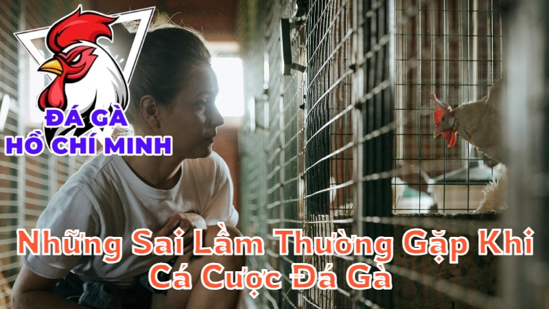 Những Sai Lầm Thường Gặp Khi Cá Cược Đá Gà Tại Thành Phố 2024