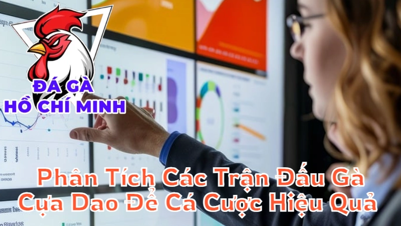 Phân Tích Các Trận Đấu Gà Cựa Dao Để Cá Cược Hiệu Quả 2024