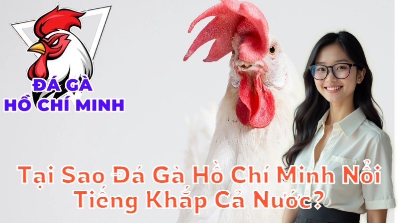 Tại Sao Đá Gà Hồ Chí Minh Nổi Tiếng Khắp Cả Nước?