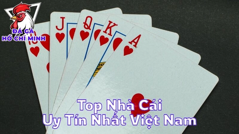 Top Nhà Cái Uy Tín Nhất Việt Nam